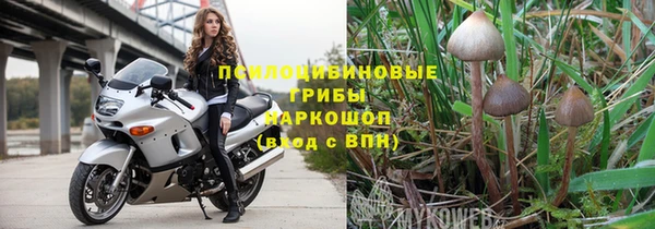 гидра Лиски