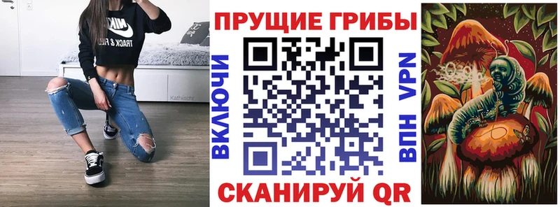 blacksprut   Сим  Псилоцибиновые грибы ЛСД  где купить наркотик 